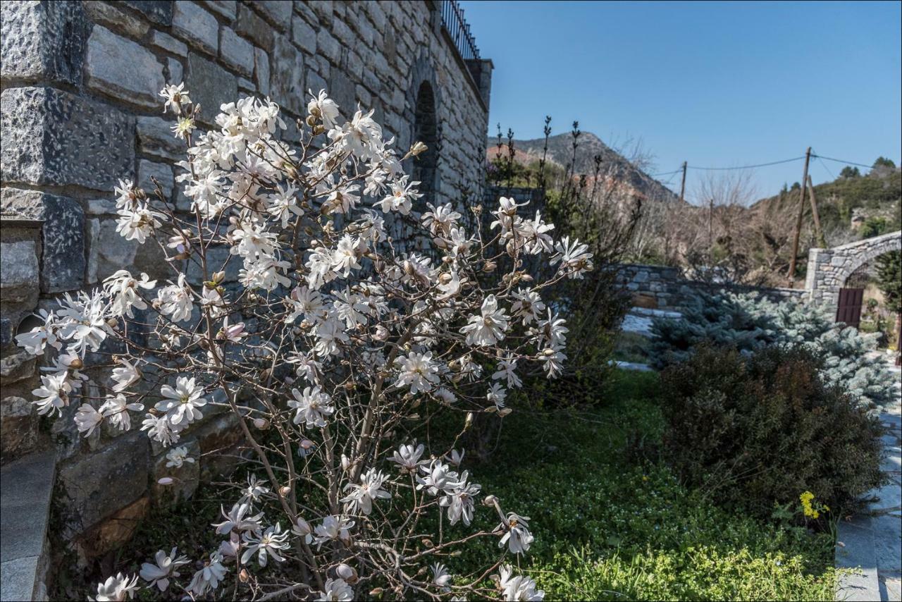 Stone Mansion Anavryti, Αμα 20569 Villa Mistras Exterior foto