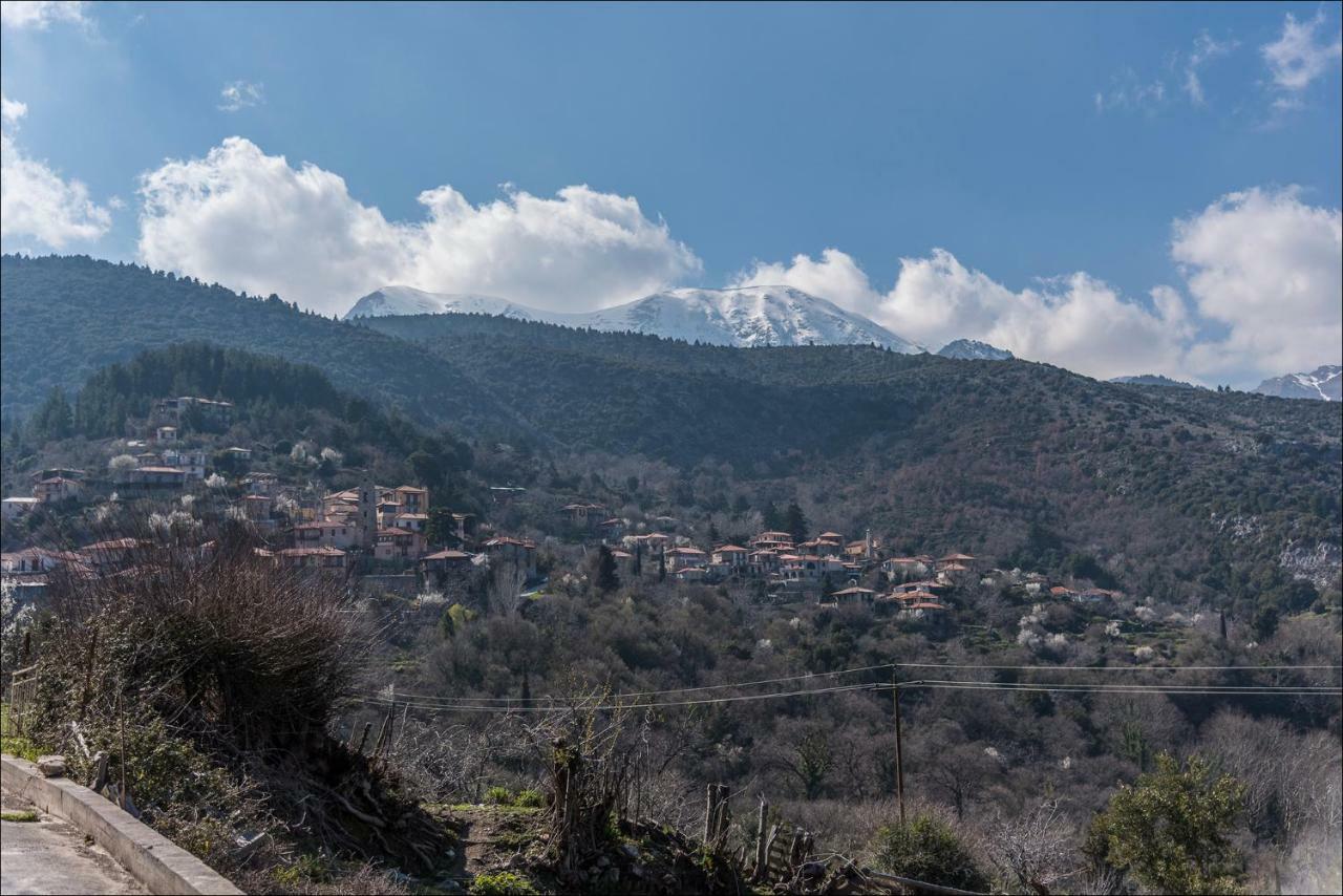 Stone Mansion Anavryti, Αμα 20569 Villa Mistras Exterior foto